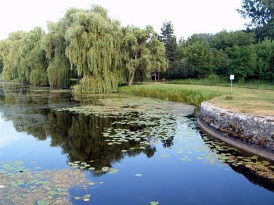 Bezdan: Forum o nautičkom turizmu 